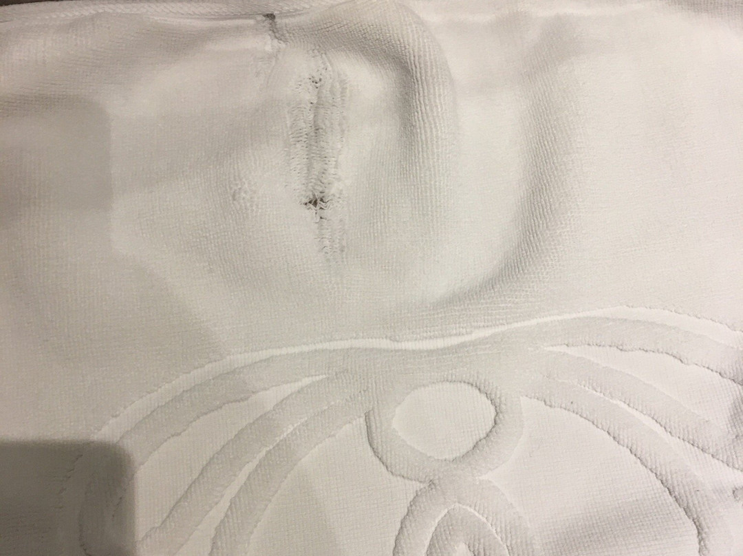 樱花大酒店主图