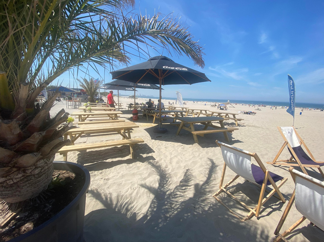 BeachLine Beach & Events Hoek van Holland