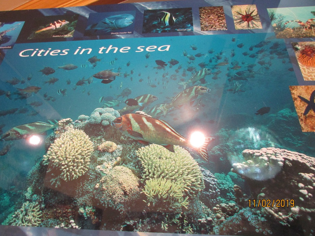 Lord Howe Island Museum景点图片