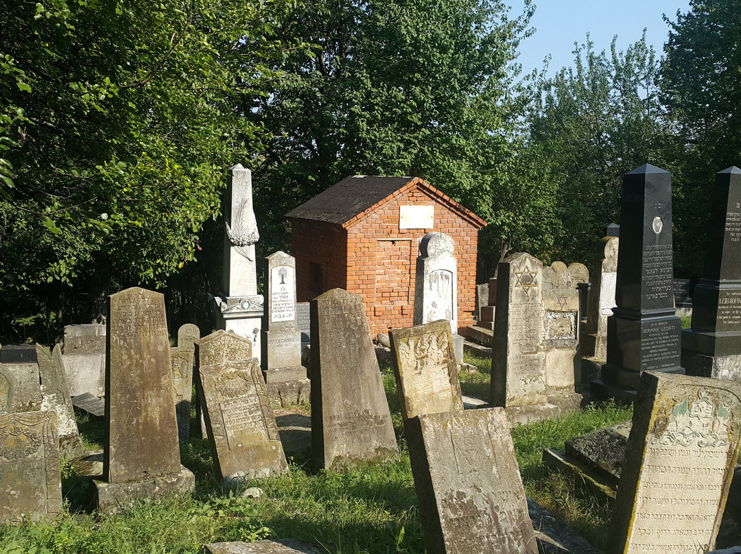 Moinesti Jewish Cemetery景点图片