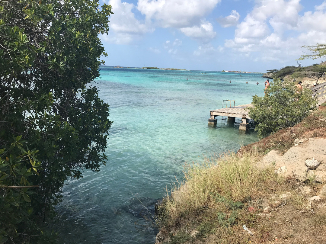 Aruba Kayak Adventure景点图片