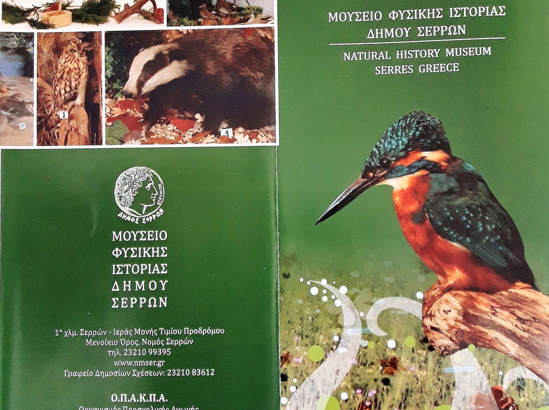 Museum  Of Natural History - Municipality of Serres-塞雷必去景点