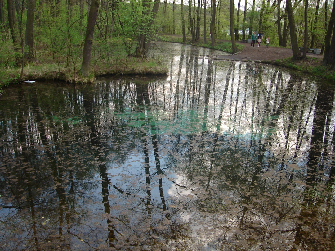 Niebieskie Zrodla Nature Reserve景点图片