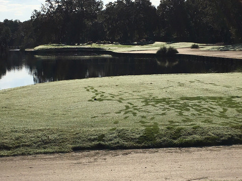 Oak Marsh at Omni Amelia Island Resort & Spa-Franklintown必去景点