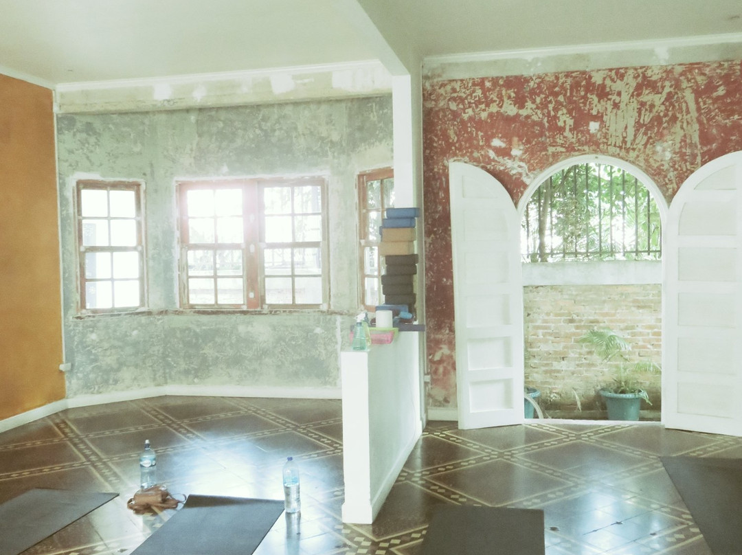 Downtown Yoga - Single Day Classes景点图片