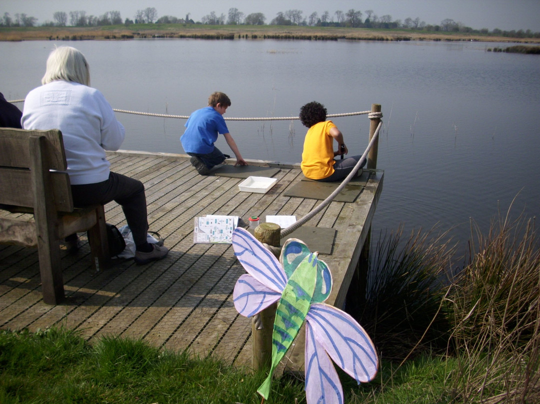 Rspb Langford Lowfields-特伦特河畔纽瓦克必去景点