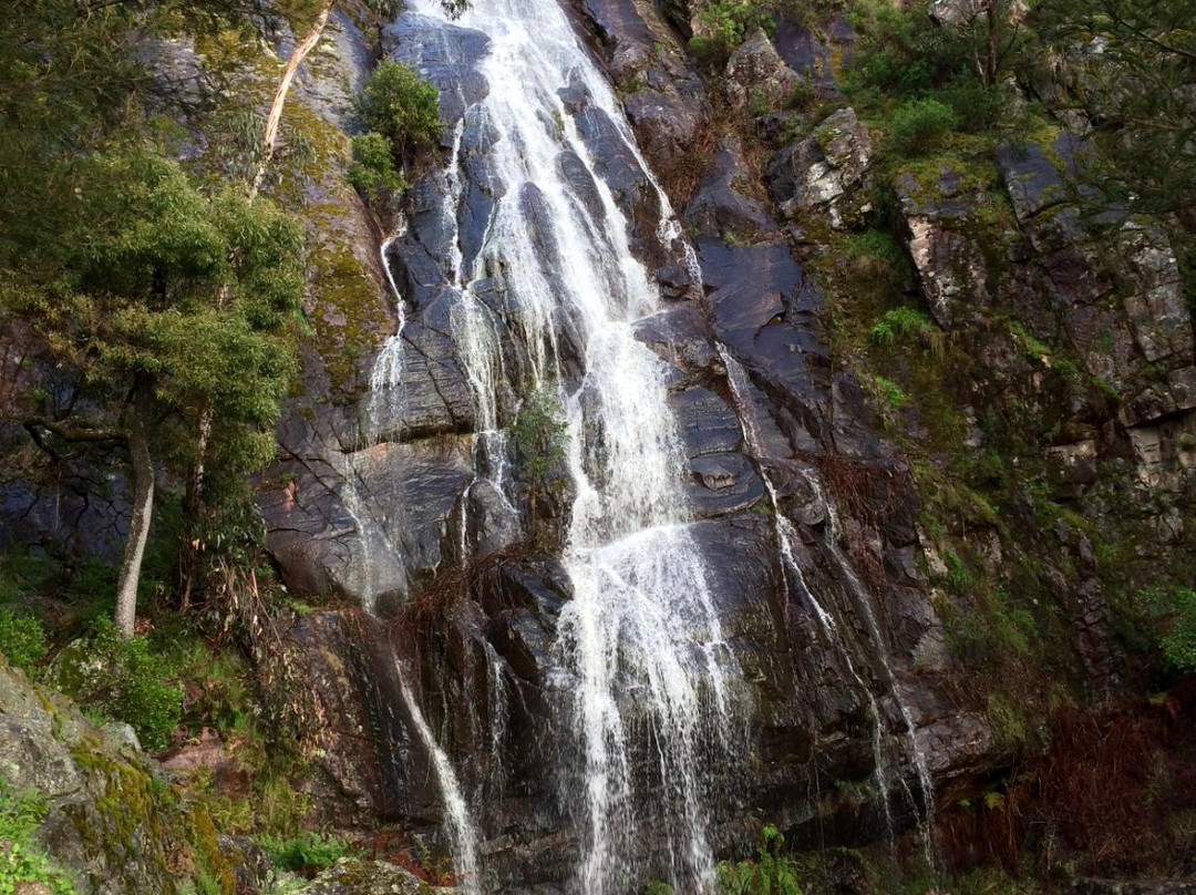Clematis Falls-贺思盖必去景点