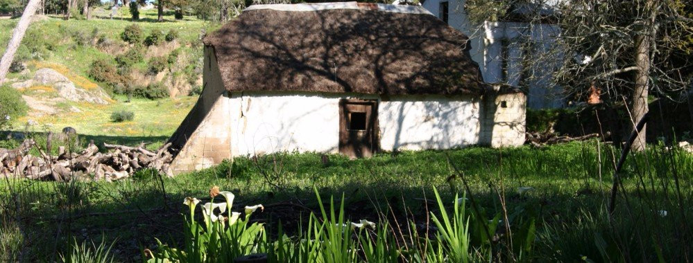 Twin Gables Guest House主图