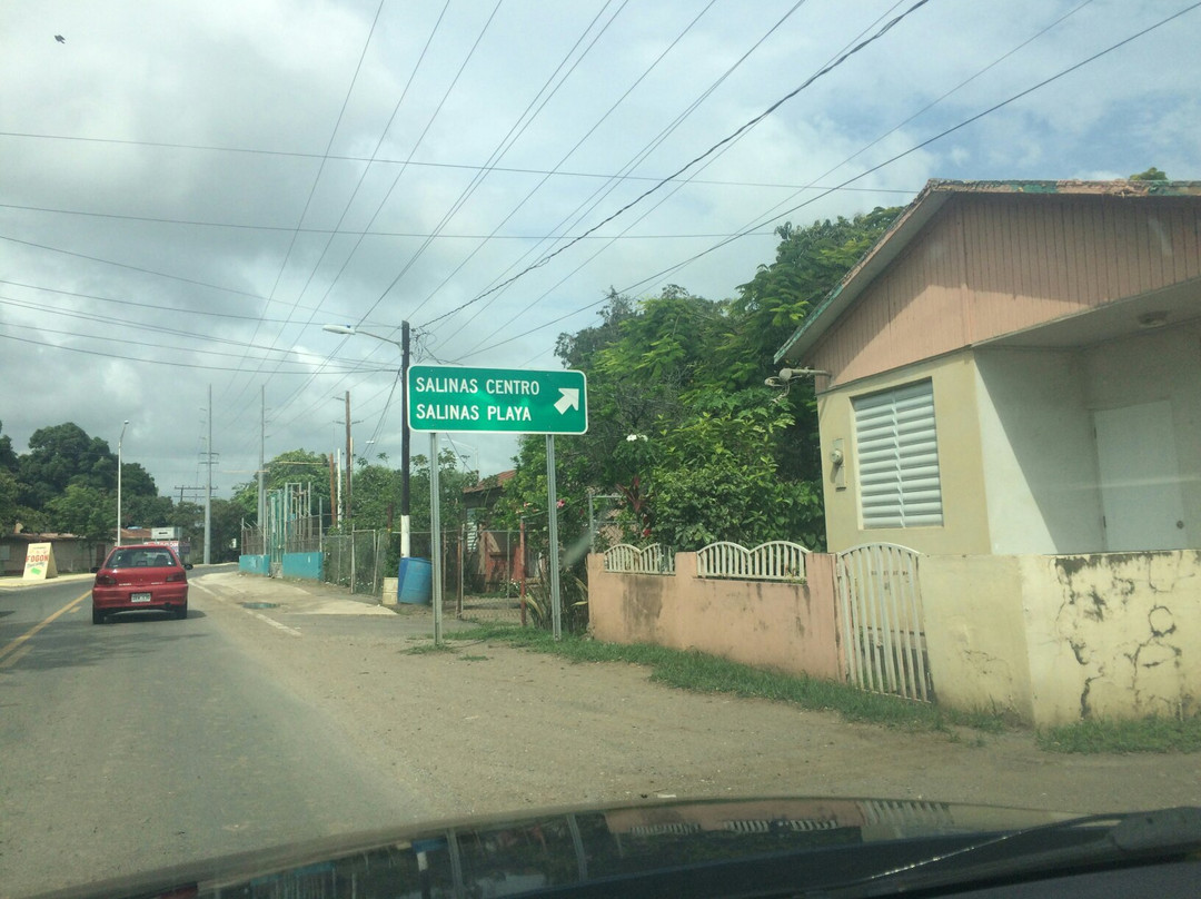 Monumento al Jíbaro Puertorriqueño-Salinas必去景点