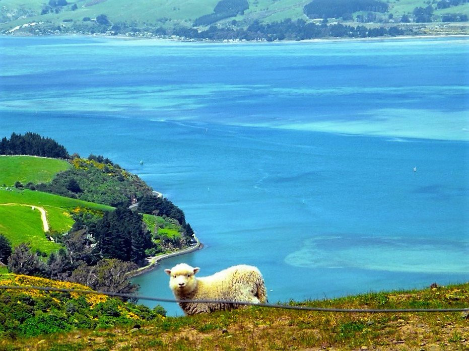 Purakaunui Bay景点图片