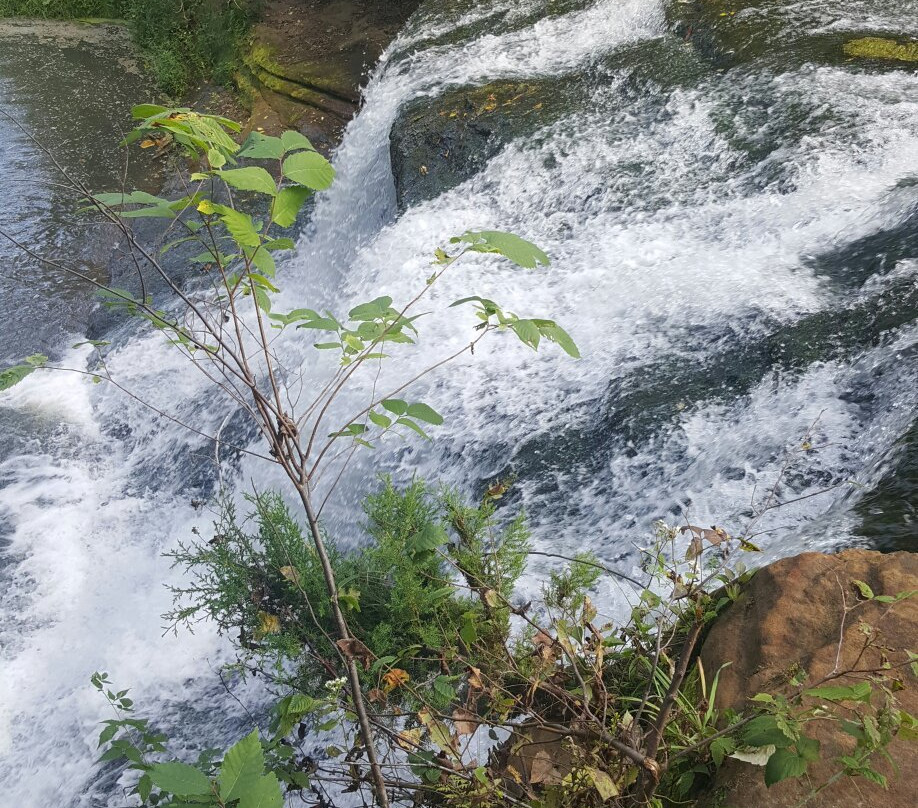 Pickwick Mill-威诺纳必去景点