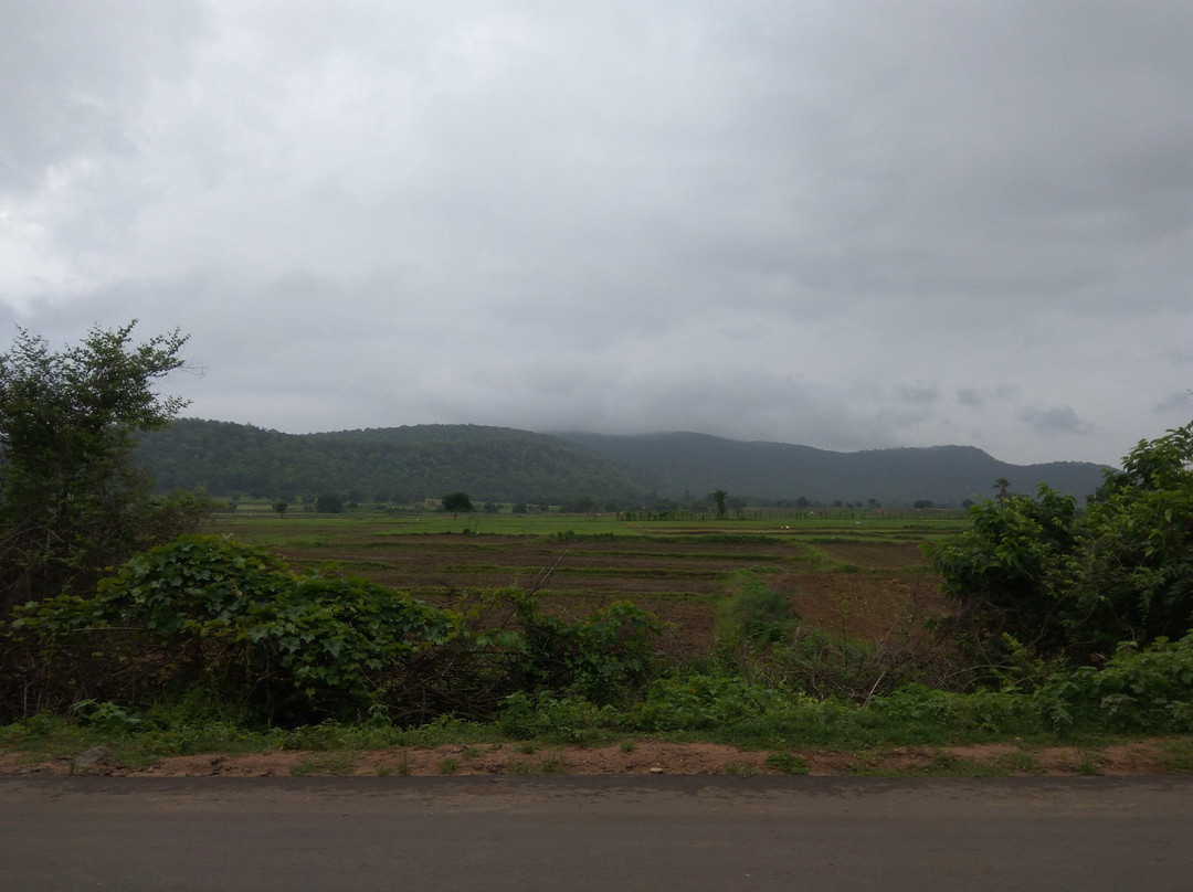 Eturnagaram Wildlife Sanctuary景点图片
