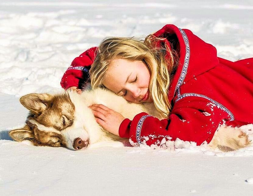 Wintergreen Dogsled Day Trips-伊利必去景点