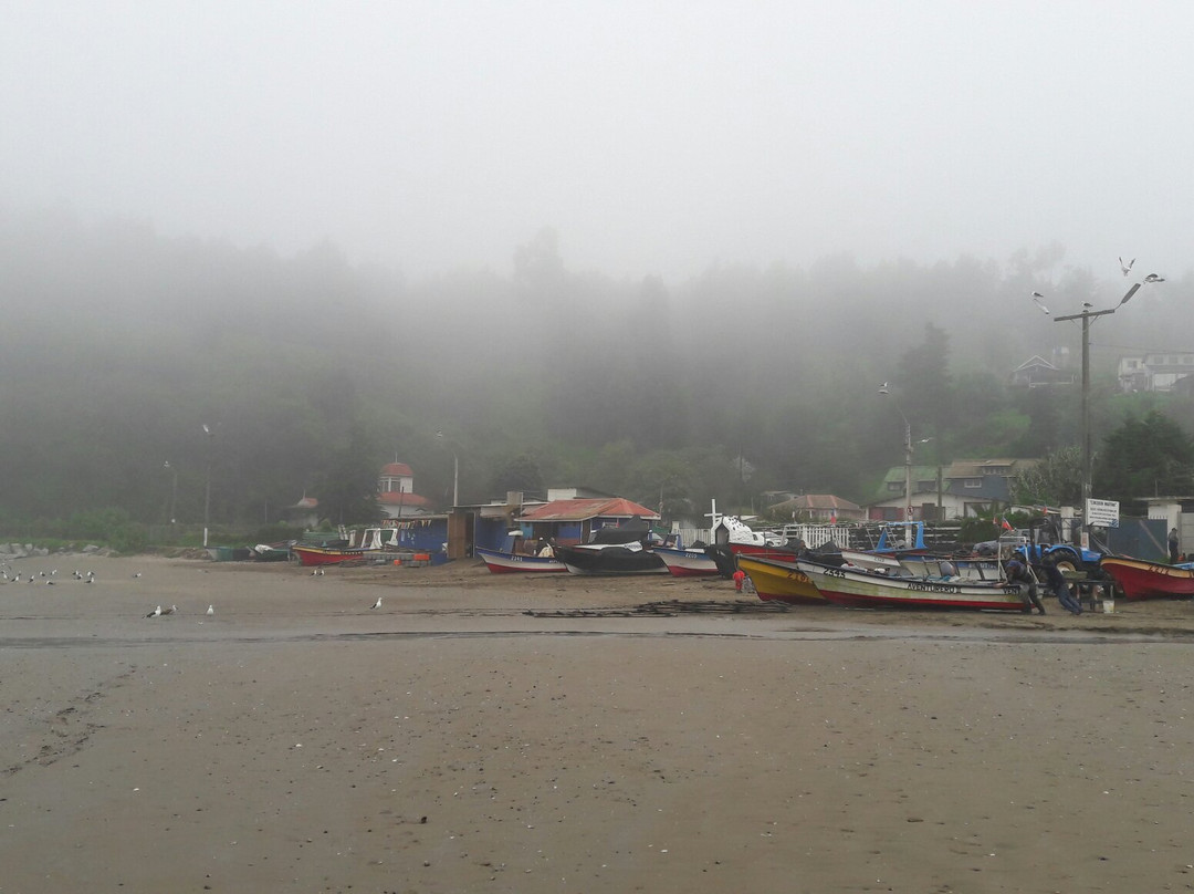 Las Ventanas-Puchuncavi必去景点