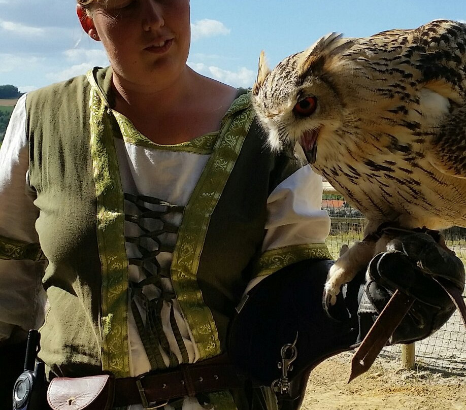 Les Aigles de Château-Thierry-Chateau-Thierry必去景点