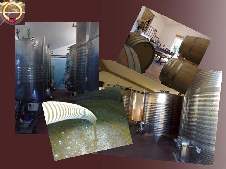 Azienda Agricola Giomi Zannoni景点图片