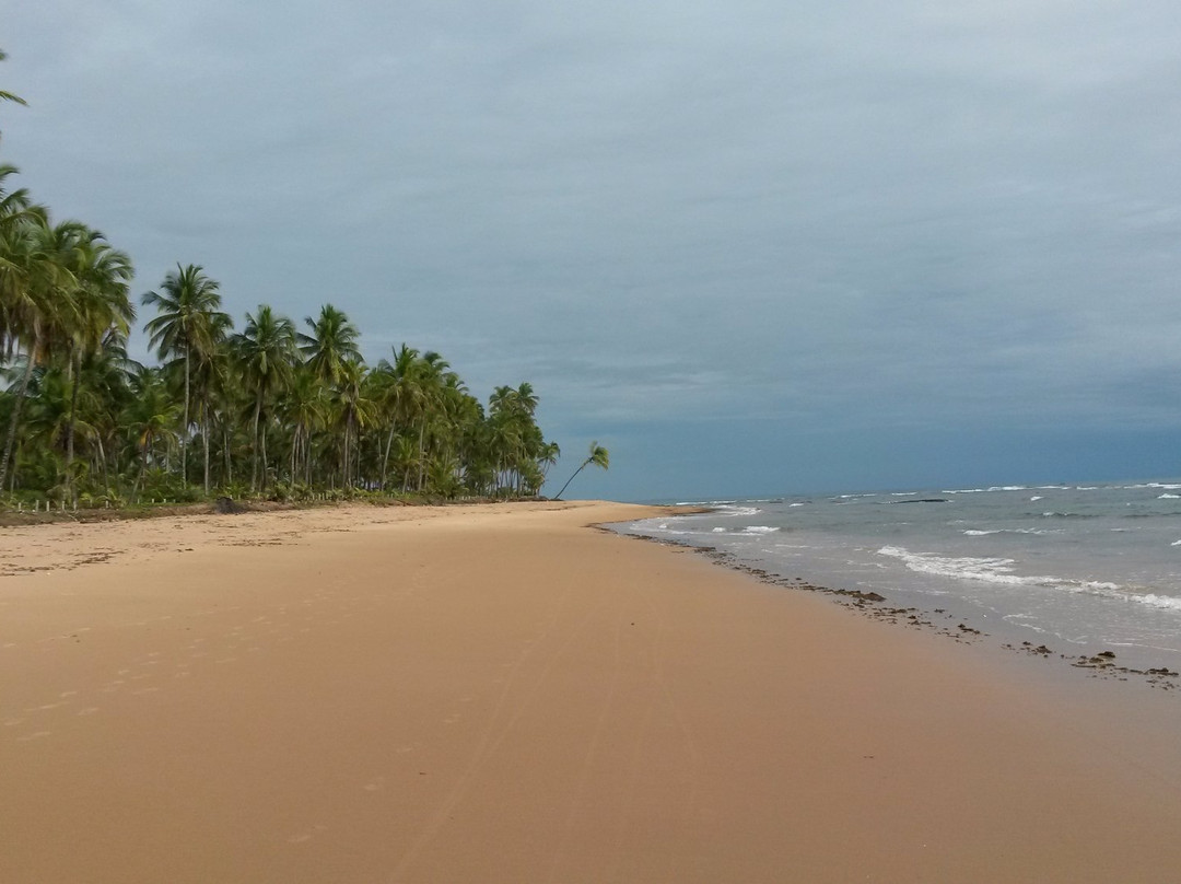 Arandis Beach-Barra Grande必去景点