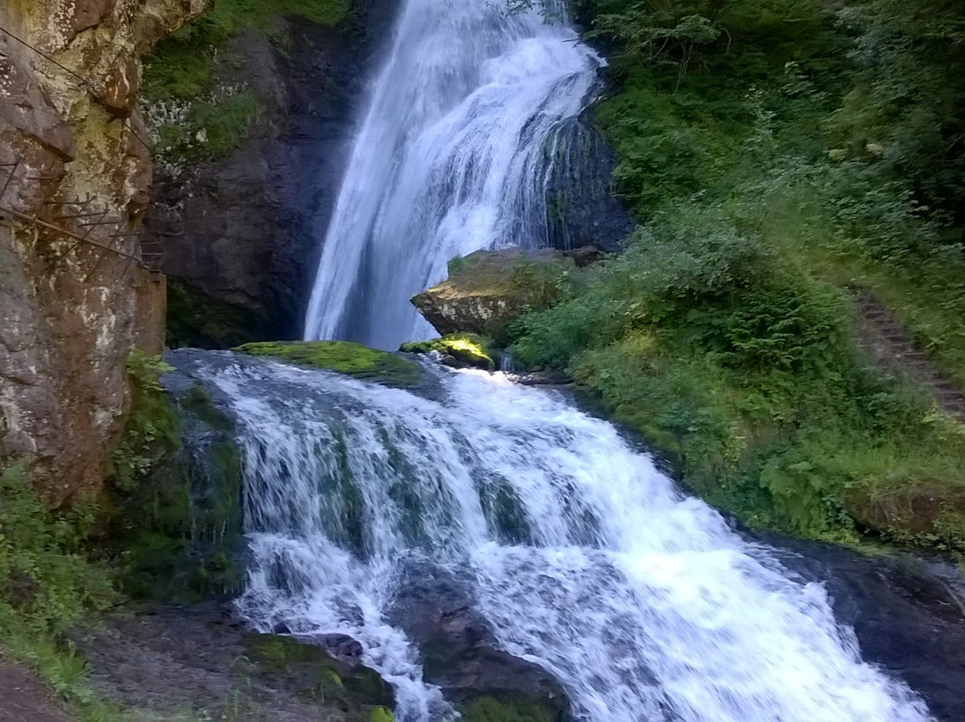 Cavalese旅游攻略图片