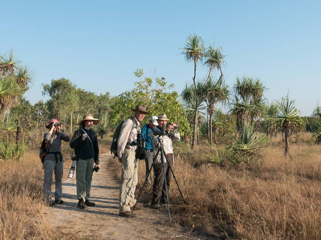 Experience the Wild-达尔文市必去景点