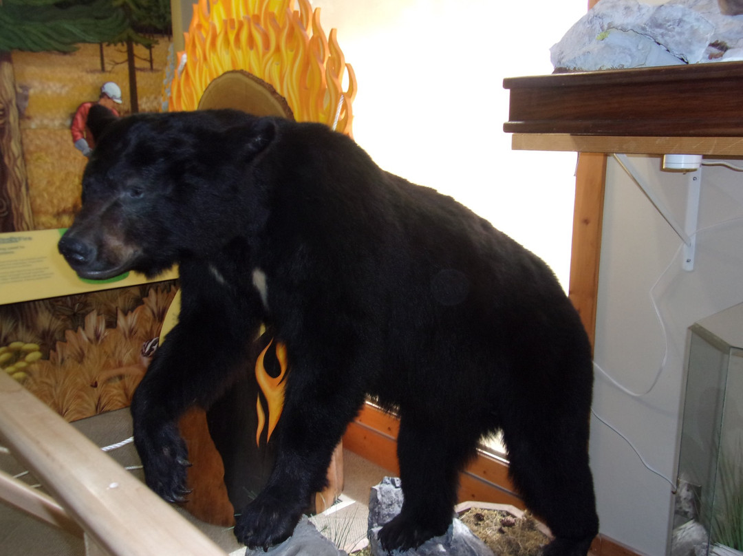 Kootenay National Park Visitor Centre景点图片