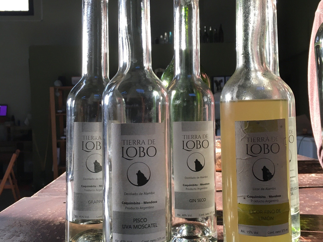 Tierra de Lobo-Coquimbito必去景点