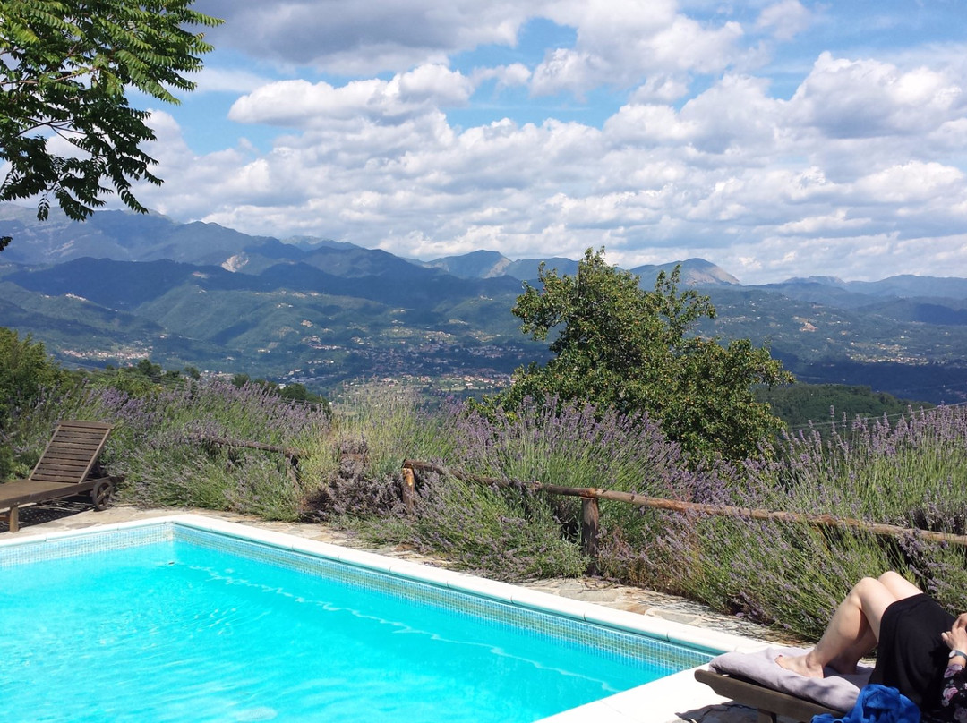 #Col di Lavacchio