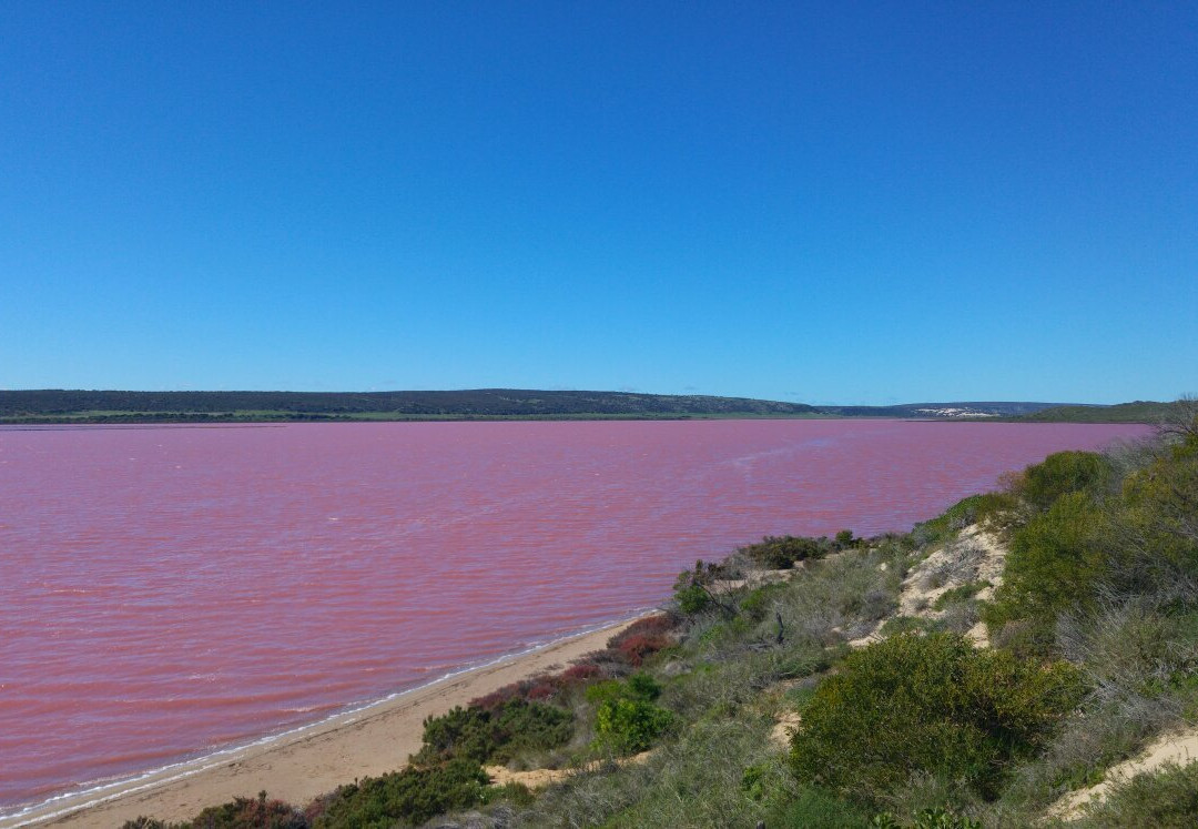 Pink Lake景点图片