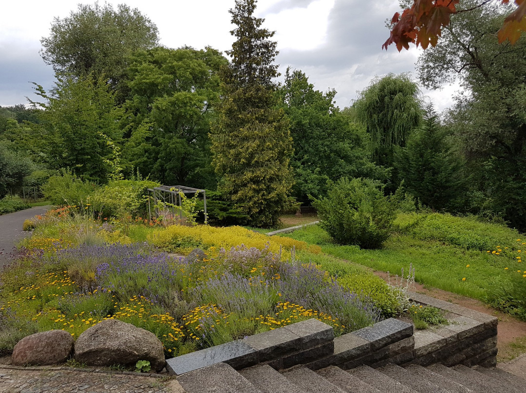 Botanischer Garten景点图片