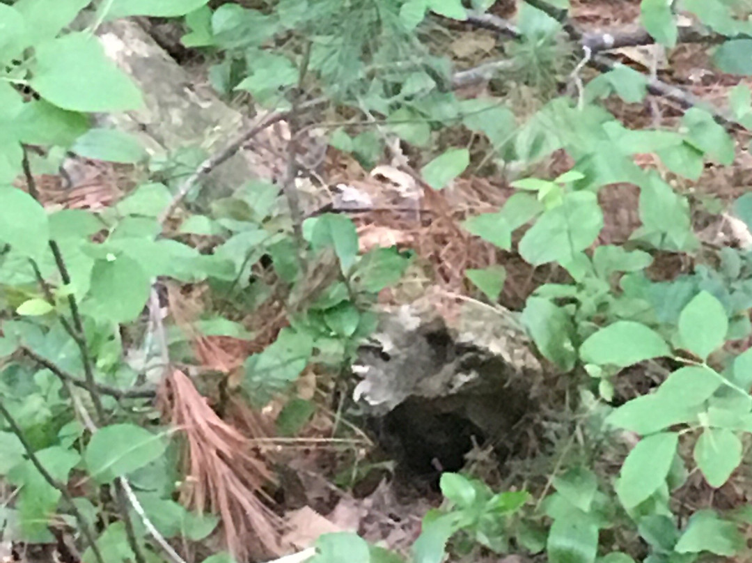 Mowry Conservation Area-Smithfield必去景点