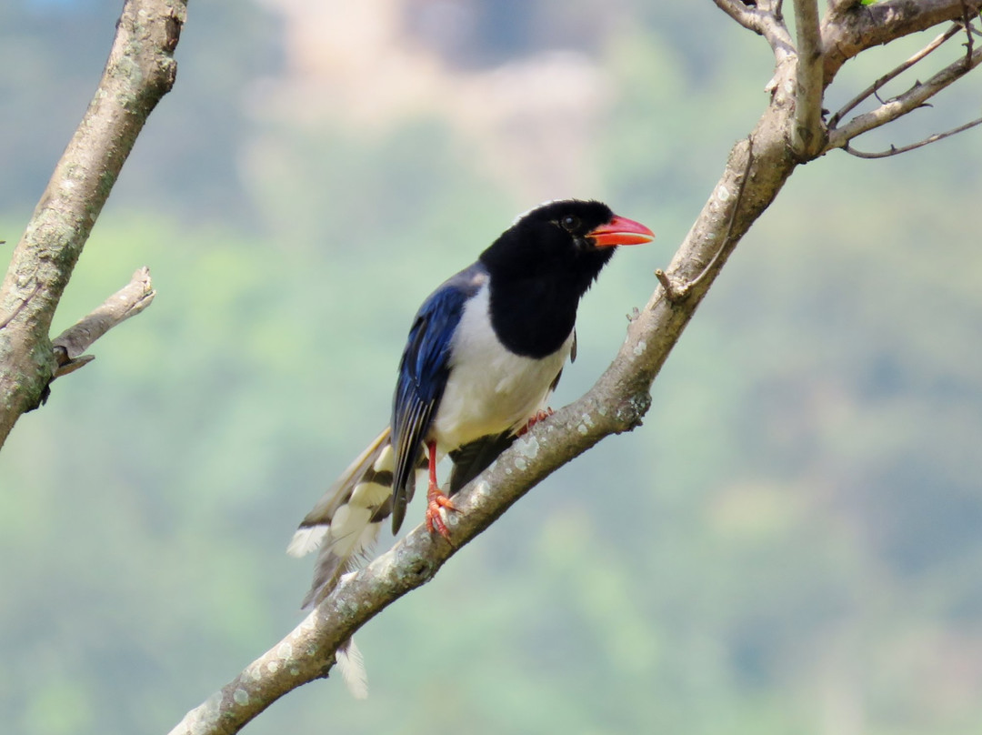 Sankhu Village-加德满都必去景点