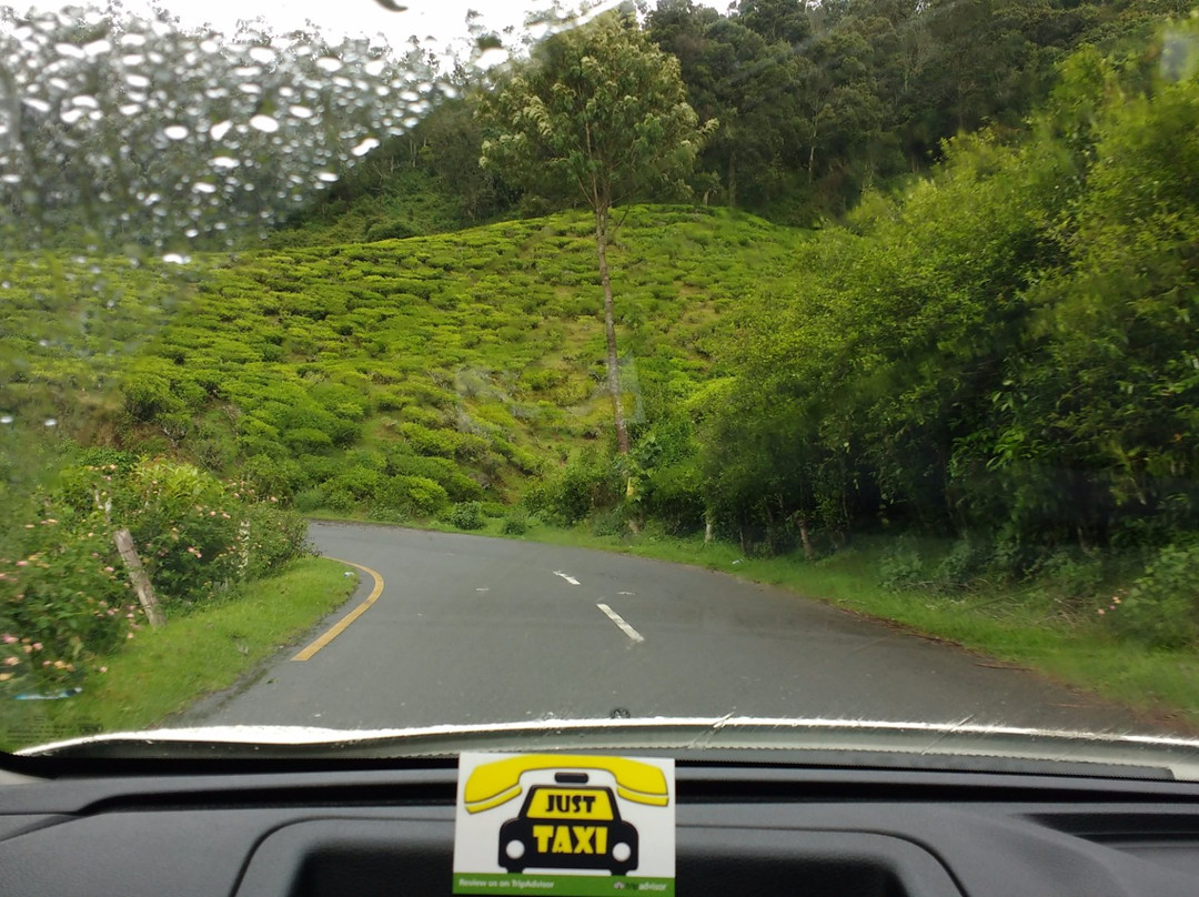 Just Taxi Holidays景点图片