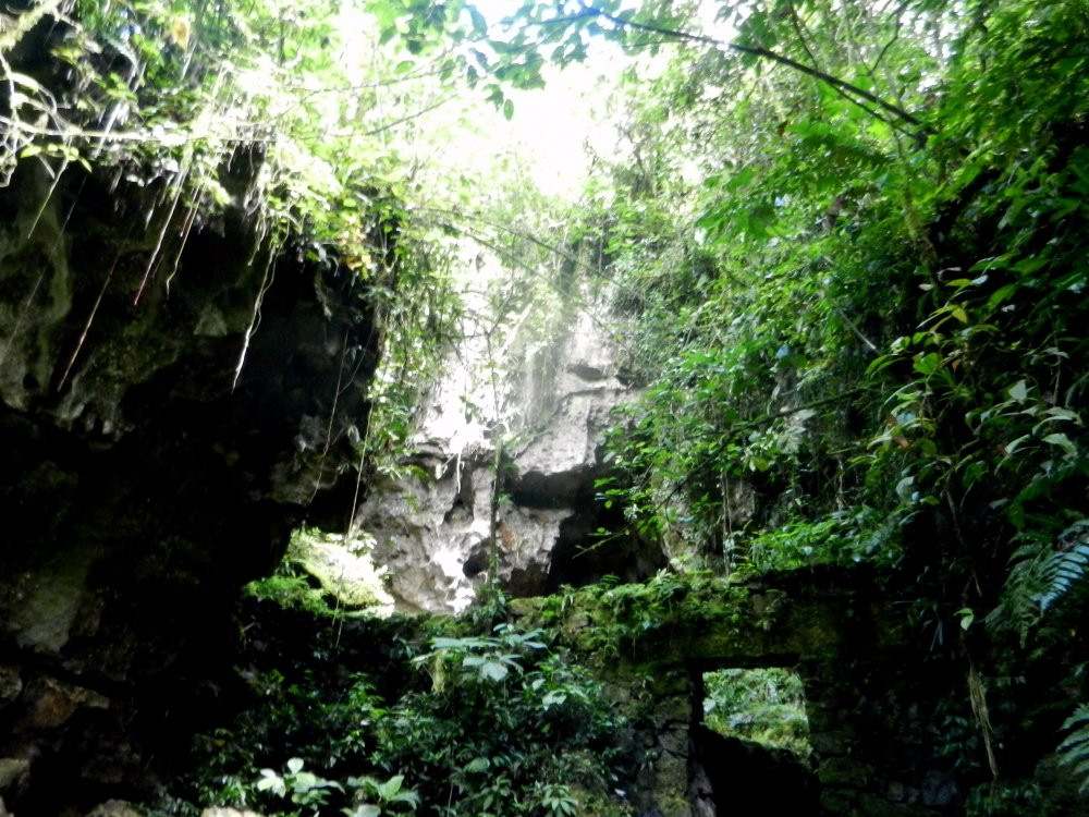 Cueva de Palestina-Nueva Cajamarca必去景点