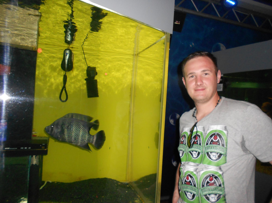 Anapskiy Okeanarium-阿纳帕必去景点