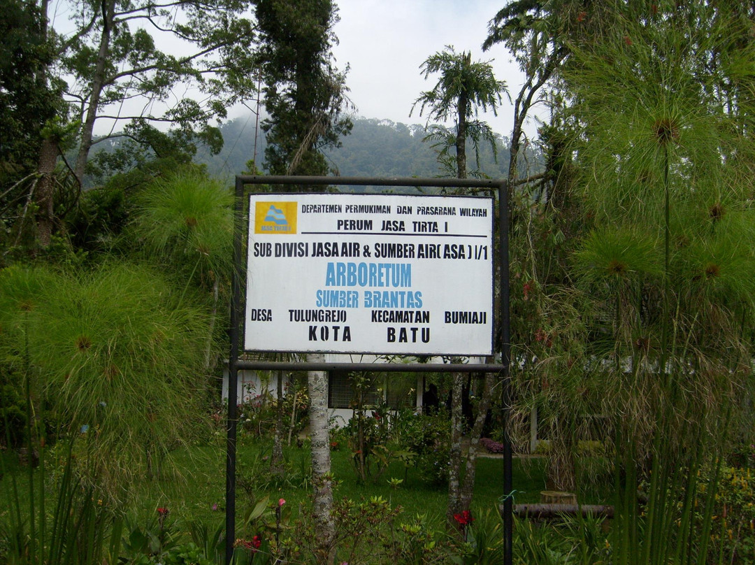 Arboretum Sumber Brantas景点图片