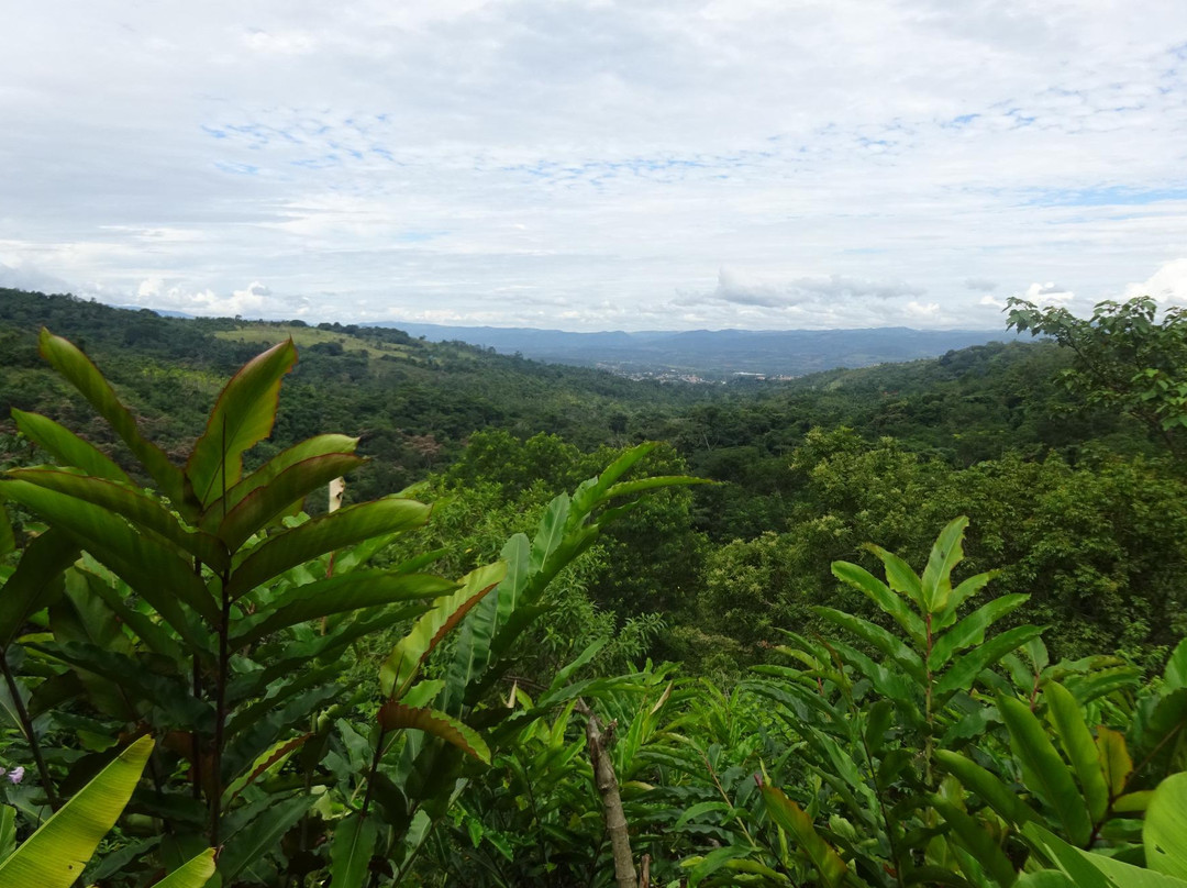 Circuitos Ecoturísticos Alto Shilcayo y Adyacentes-Tarapoto必去景点