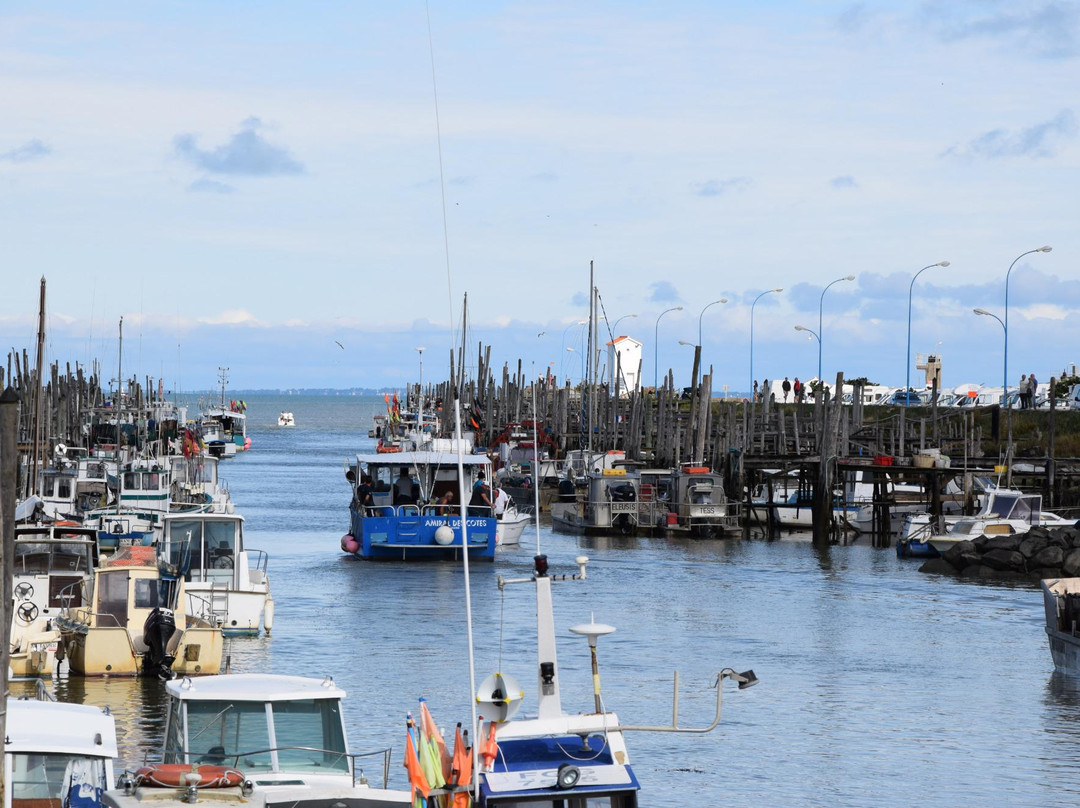 Beauvoir-Sur-Mer旅游攻略图片