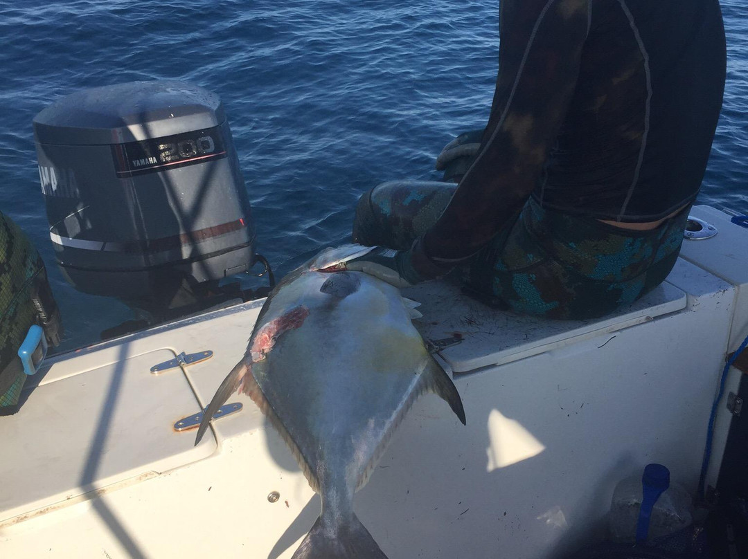 Sea Monkey Ocean Adventures-Stock Island必去景点