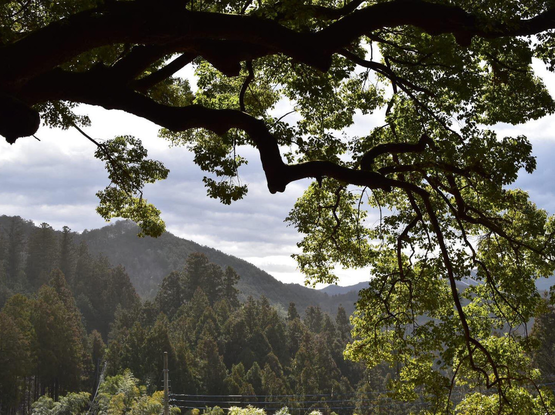 Kamiyatsuno Okusuu-越生町必去景点