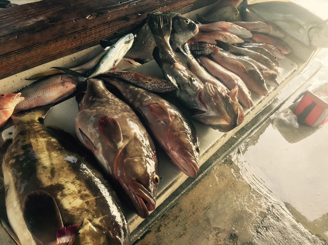 Sea Monkey Ocean Adventures-Stock Island必去景点