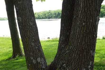 Lake Ahquabi State Park-Indianola必去景点