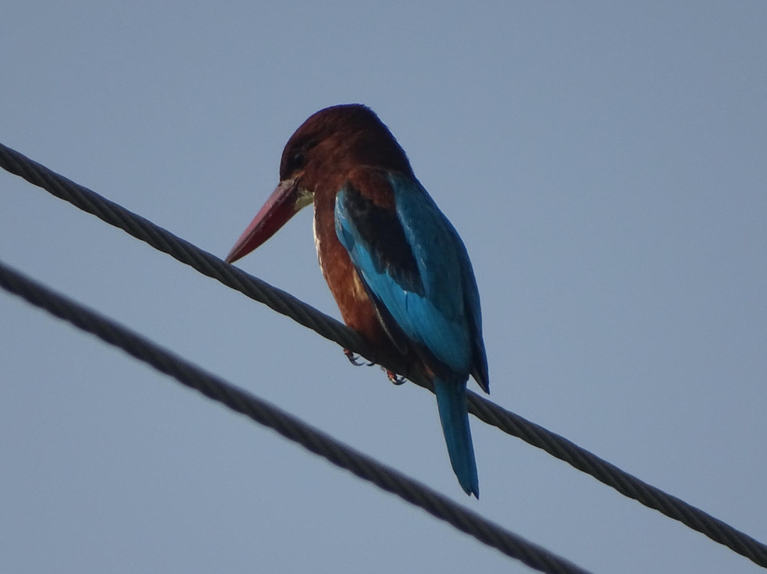 Nyara River-杰拉果德必去景点