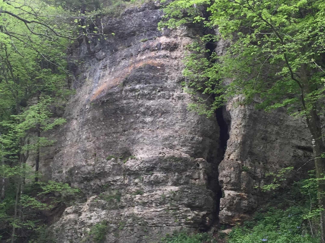 Backbone State Park-Dundee必去景点