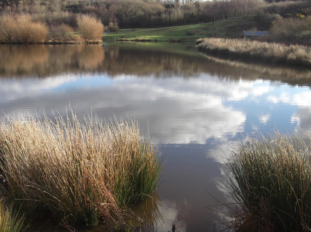 Glan Morfa Lodge Retreat