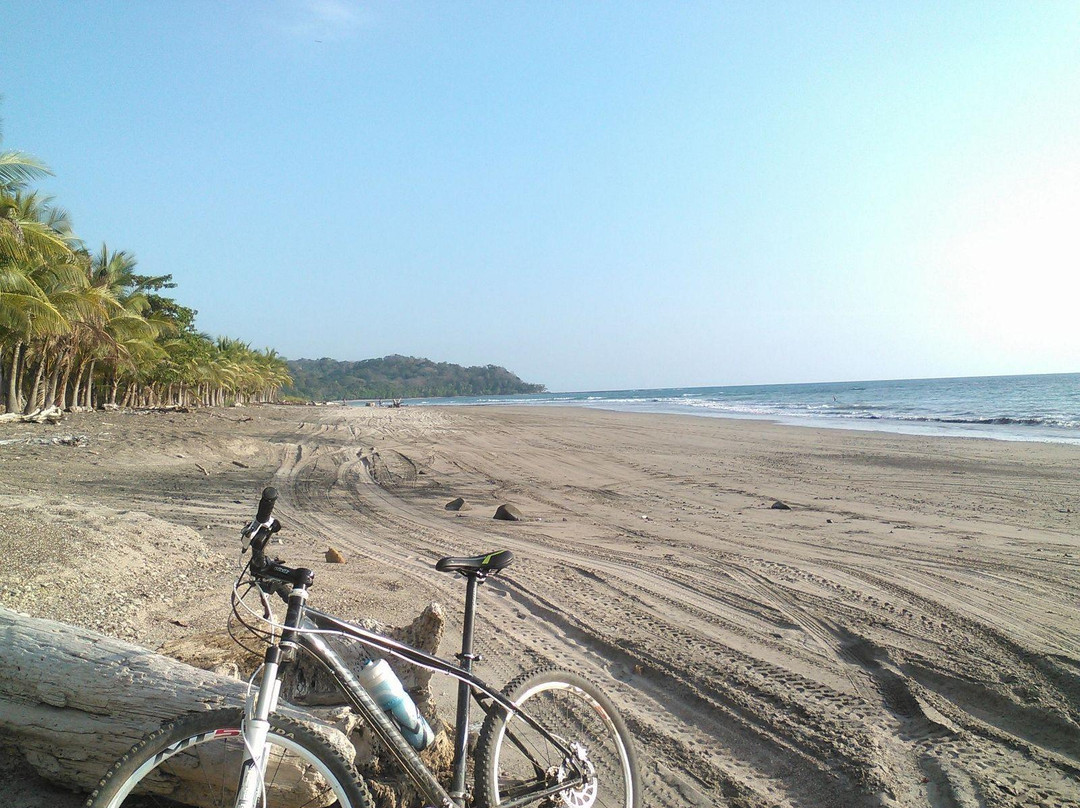 Montezuma Bike Tours景点图片