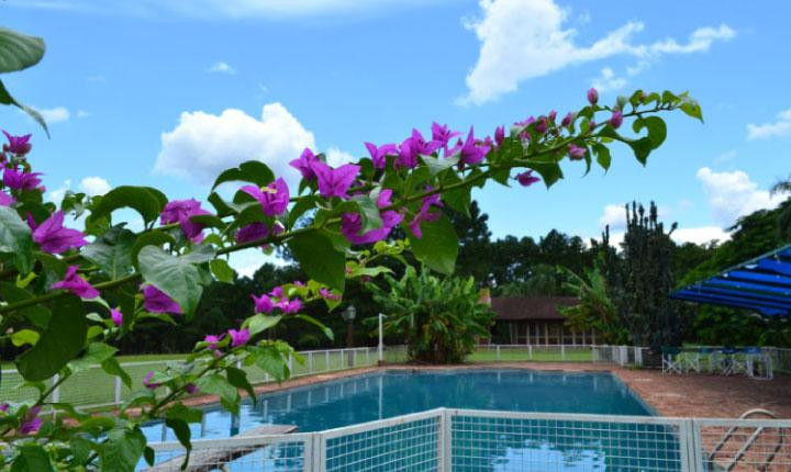 Puerto Mineral Hotel & Golf主图