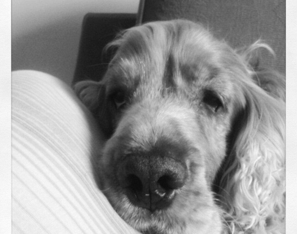 Cocktail Island Palma de Mallorca-马洛卡帕尔马必去景点