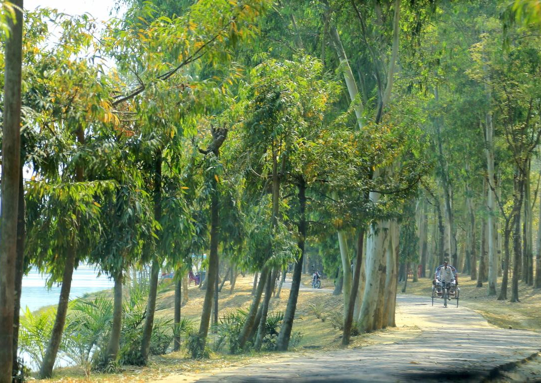 Dinajpur旅游景点-Ramsagar National Park