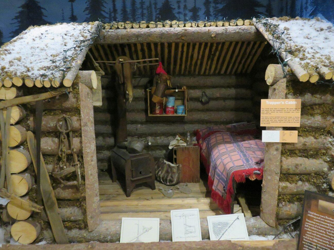 Northern Life Museum & Cultural Centre-Fort Smith必去景点