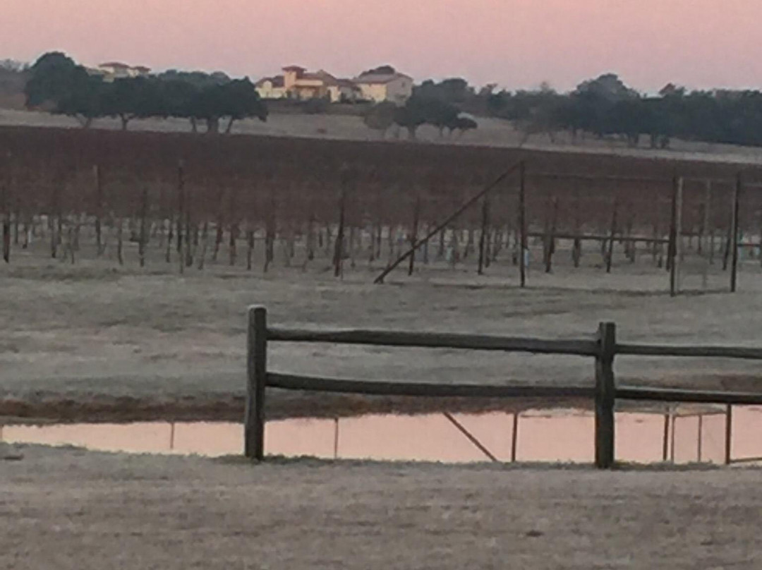 The Vineyard at Florence-Florence必去景点