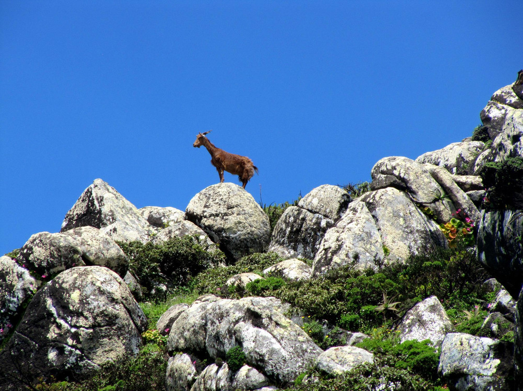 Skand Peak-索科特拉岛必去景点